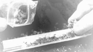 NADIE SABE A DONDE VA