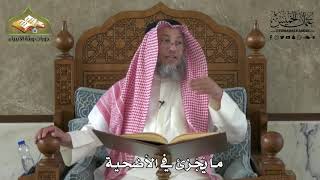 607 - ما يُجزئ في الأضحية - عثمان الخميس