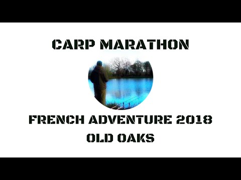 download lagu mp3 mp4 Old Oaks France, download lagu Old Oaks France gratis, unduh video klip Old Oaks France