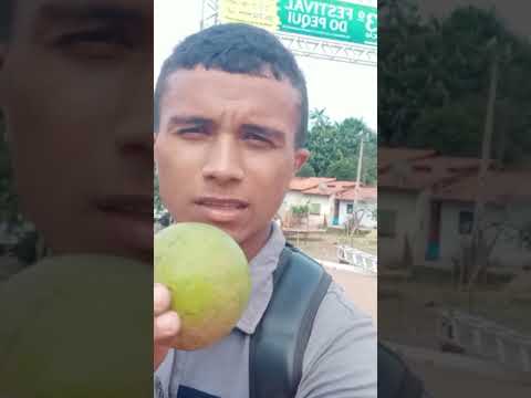 festival do pequi em Jatobá Maranhão