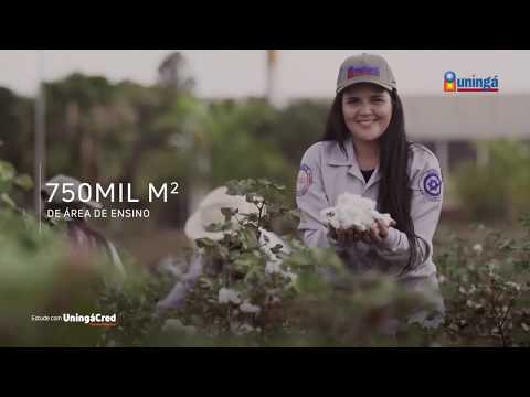 Vestibular 2020 Uningá