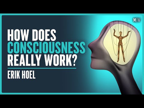 A Guide To The Fundamental Mystery Of The Mind - Erik Hoel