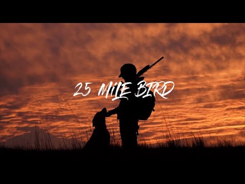 The 25 Mile Bird : Upland Bird hunting Kansas