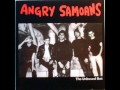 Angry Samoans- It's Raining Today 