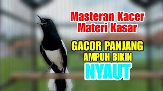 Download lagu suara kacer gacor NGEPLONG tarung ini paling AMPUH buat PANCINGAN KACER agar EMOSI NYAUT mp3 Download lagu suara kacer gacor NGEPLONG tarung ini paling AMPUH buat PANCINGAN KACER agar EMOSI NYAUT mp3