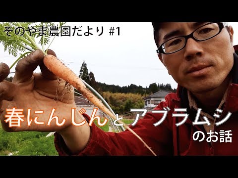 , title : '【そのやま農園#1】春ニンジンとアブラムシのお話'