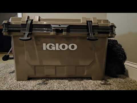 Small Igloo Cooler Amazon