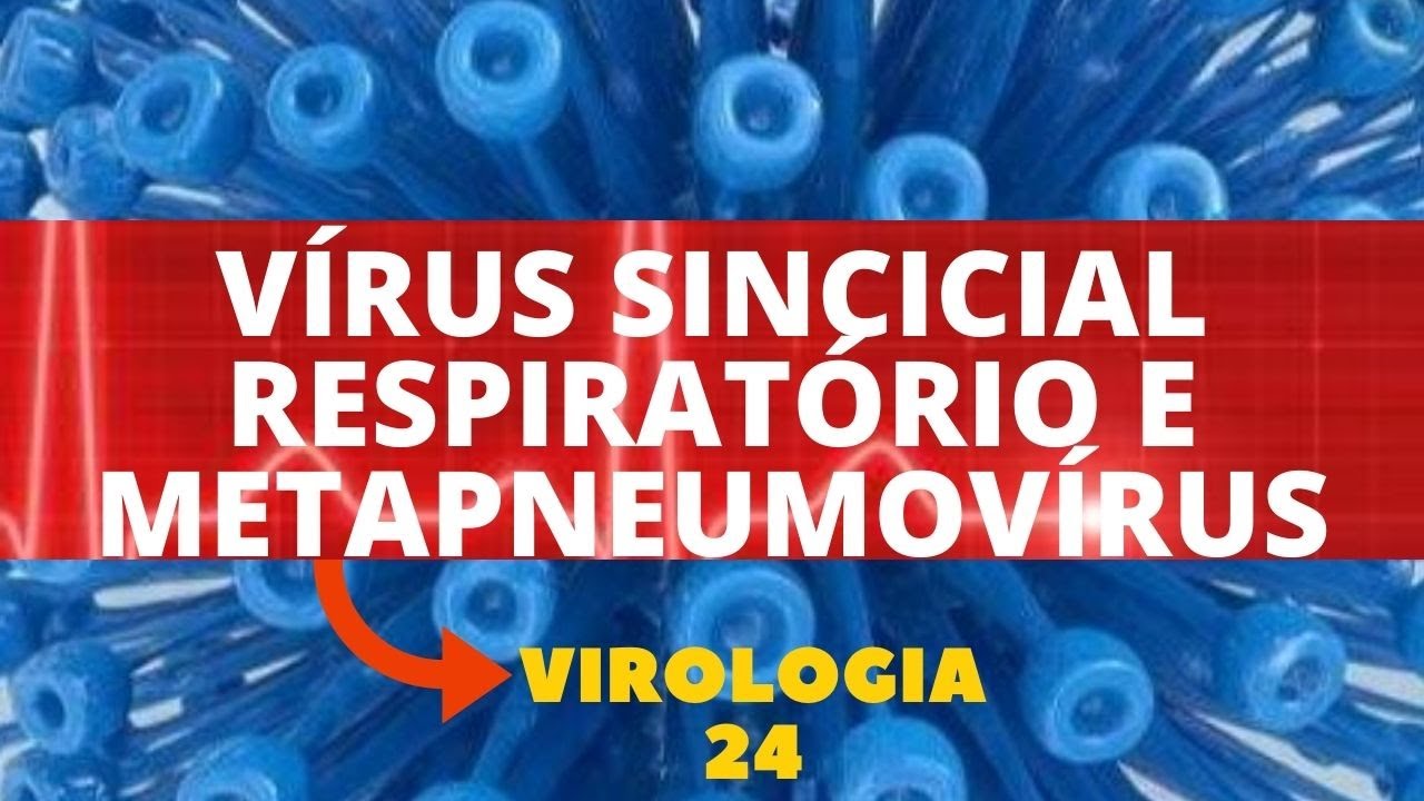 VÍRUS SINCICIAL RESPIRATÓRIO E METAPNEUMOVÍRUS - VIROLOGIA - AULA 24