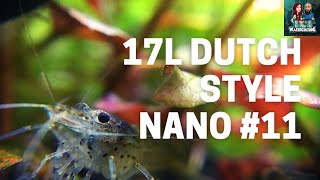 Easy Dutch Nano Aquascape Tutorial #11 Heading Towards The Final Scape
