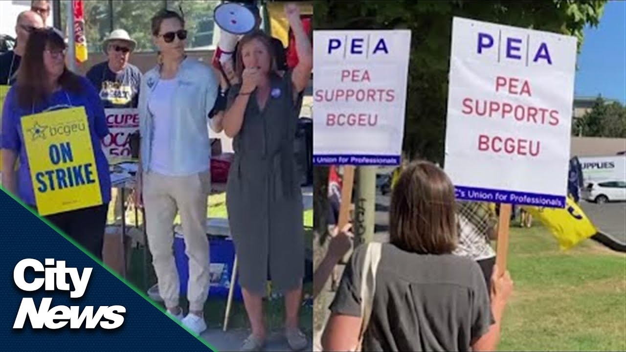More B.C. public service professionals threaten job action