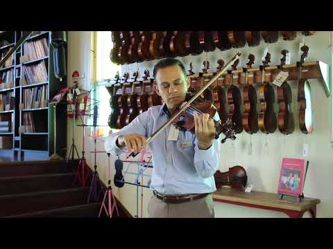 Gliga Vasile Professional Violin | Simply For Strings