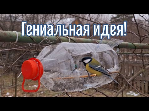 Почему я Раньше до этого не додумался, Как сделать Кормушку для птиц за 5 минут!