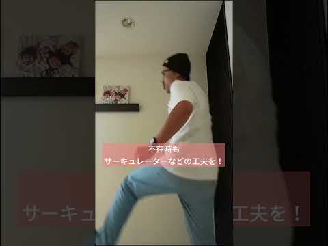 観葉植物の枯れを防ぐには？原因は何ですか?  庭園