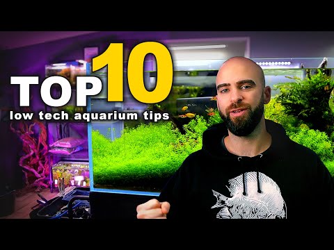 Top 10 LOW TECH Planted Aquarium Tips | MD Fish Tanks