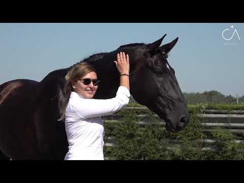 48 Coudelaria CampoAqui