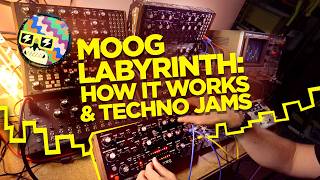 Video thumbnail for Moog Labyrinth: Explained & Generative Techno Jams by mylarmelodies