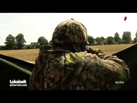 Was passiert mit dem Jagdgesetz? WDR Lokalzeit Münsterland