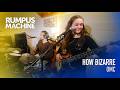 How Bizarre Live Cover OMC Rumpus Machine Live Classic Rock Originals Band