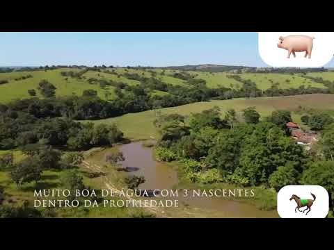 Fazenda em Ipameri-GO