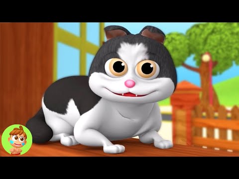 Billi Karti Meow Meow, बिल्ली करती म्याऊ म्याऊ, Cat Song and Hindi Nursery Rhymes