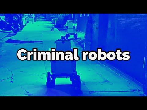 CRIMINAL ROBOTS: Uncovering a Food Delivery Robot Crime Syndicate
