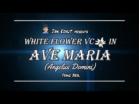 White Flower VC #47 - Ave Maria (Angelus Domini)