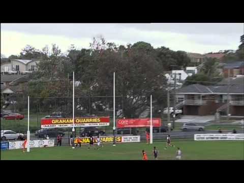 VFL Round 12 Mark & Goal of the Day