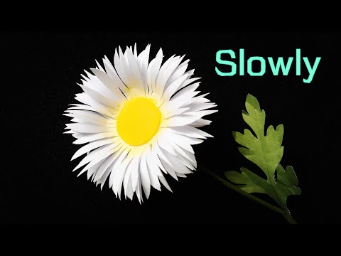 ABC TV | How To Make Daisy Paper Flower With Shape Punch #2 (Slowly) - Craft Tutorial