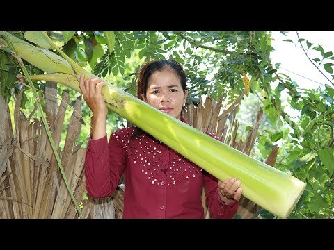 Awesome Cooking Banana Tree Soup With Fish Recipe -  Cooking Fish Soup Delicious  - Primitive Food