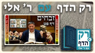 חזרה - זבחים דף פט | "רק הדף" עם ר' אלי סטפנסקי
