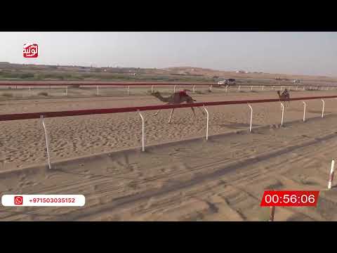  ش 18 (شاهين) لـ مبارك سالمين قروان 2:17 ، شارة صندوق الحلفه 2026/07/26 فطامين الجبيب