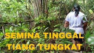 Download lagu PAGI TU BETEMU BA PART1 KAMI DUAI MATAU MENUA ULU mp3 Download lagu PAGI TU BETEMU BA PART1 KAMI DUAI MATAU MENUA ULU mp3