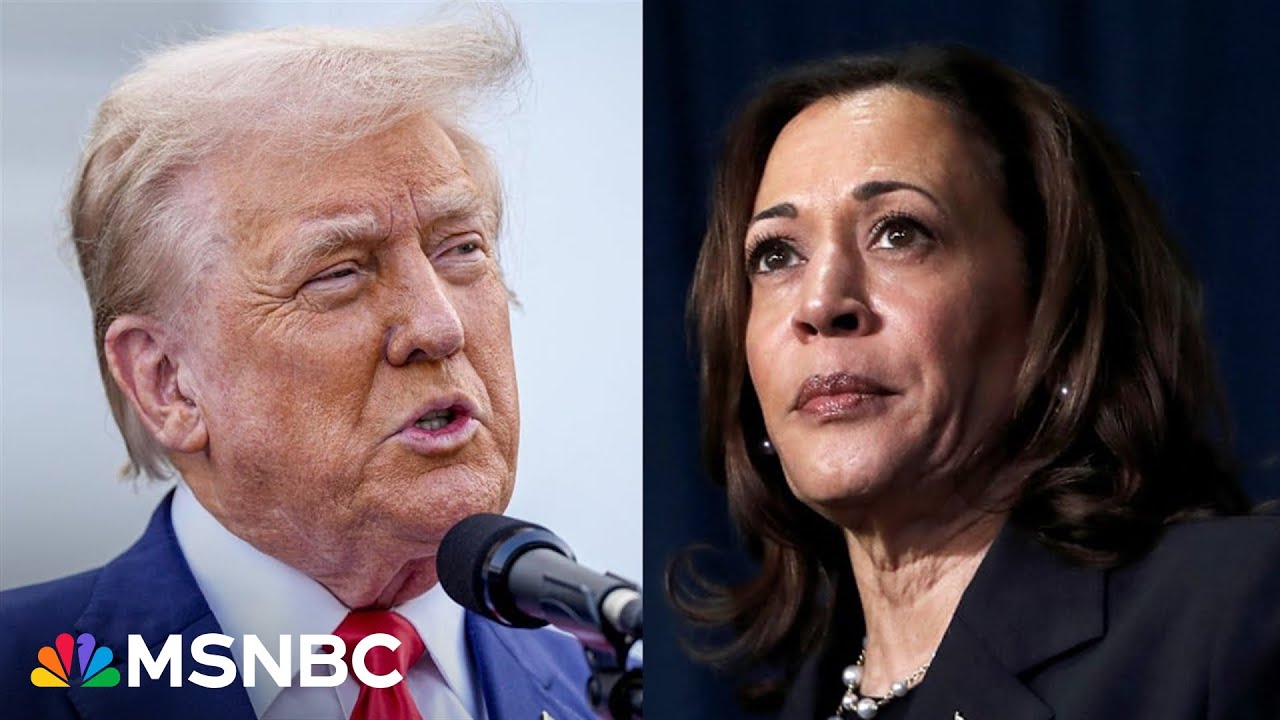 'Dead heat': Harris and Trump both have 'full team' out in the field