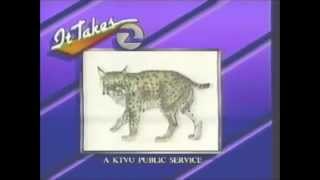 Under Two Palms - Ocean Haze