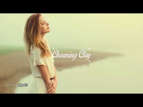 Dole & Kom - New Jack Nation (Niko Schwind Remix) | Charming Clay