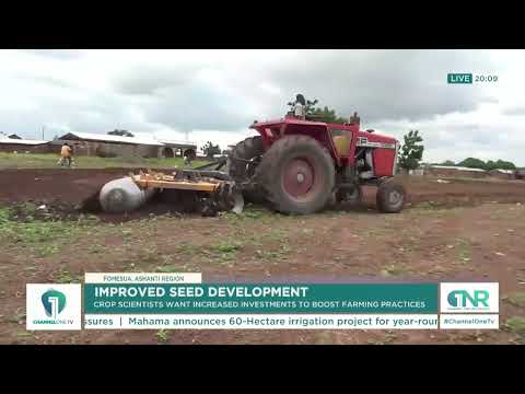 "We Need More Investment in Seeds" - Crop Scientists Push for Farming Boost