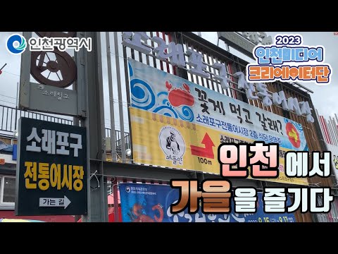 인천시ㅣ가을 제철 찾아가야 할 인천 명소!ㅣ