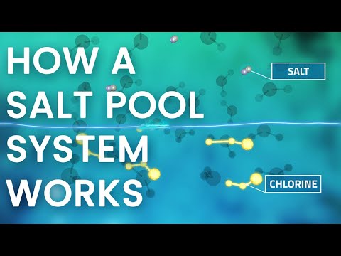 How Does a Pool Salt System Work? -  In 60 Seconds