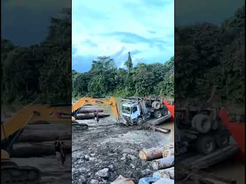 Kaget klakson logging !!! operator excavator ngamuk #loggingkalimantan #automobile #excavator