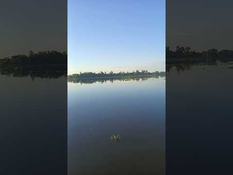 Puerto ibicuy Entre rios