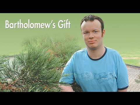 Witness21 Editor  2022 06 03