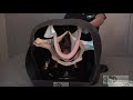 The VSI Equine Theriogenology Model