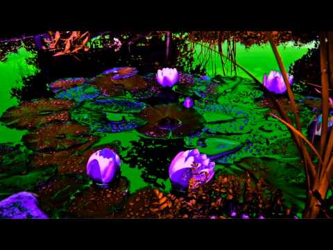 Sr. B & Dona Vontade - (05) Funeral Indígena