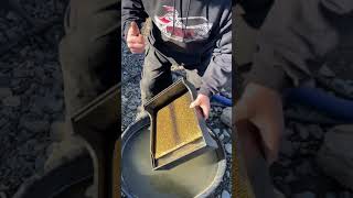 Download lagu GOLD MINERS CAN SURVIVE mp3