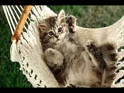 Ridwan Arsyan EAP2 week 7