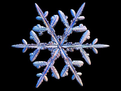 TerraFirmaCraft Reloaded 2 Gameplay part 4.5