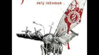 Sonic Syndicate - Callous