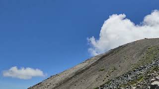 HEALING TIME in forest