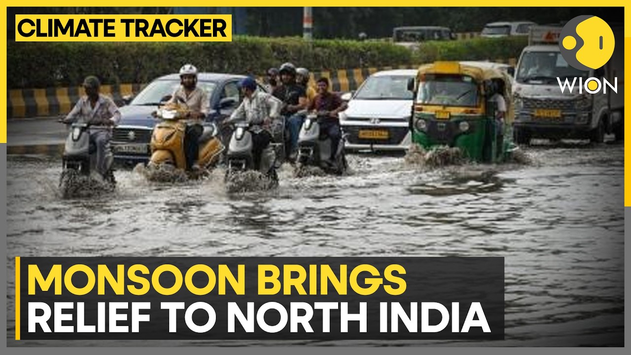 India Weather Alert: Monsoon Brings Relief To North India, Fresh Weather Alert For Delhi-NCR | WION