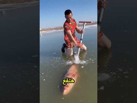 ينهار يا بابا! إنت بتكسر التلج ده ليه؟ لو اتكسر هتقع في البحر😨🧊🚨